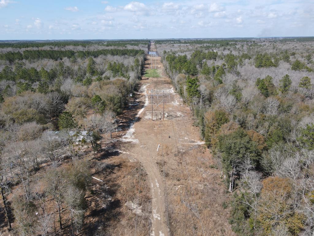 382 Public Work Road Samson, AL 36477 - Photo 1 of 9 Main View