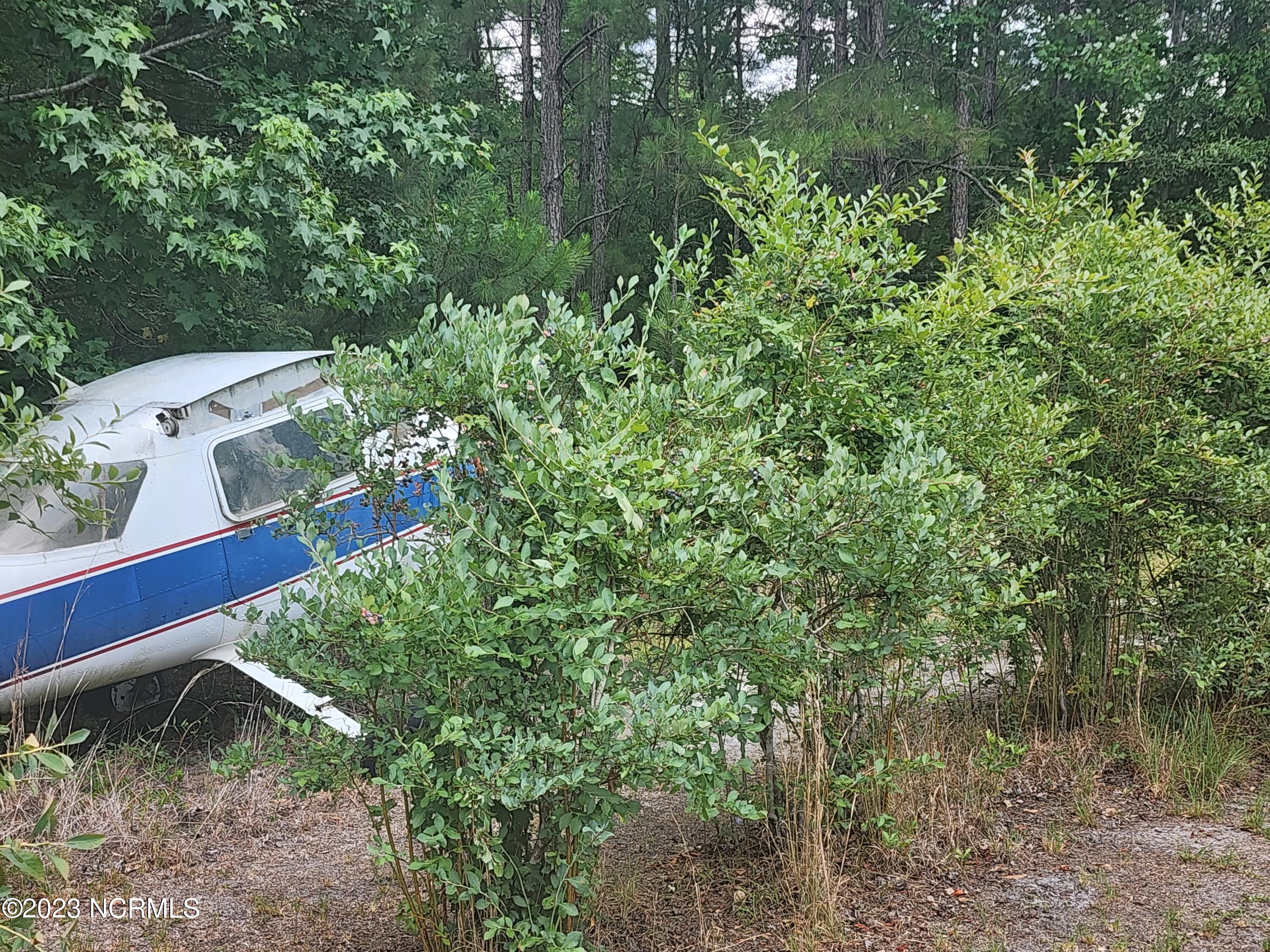 1741 Microwave Tower Road Council, NC 28434 - Photo 23 of 27 Helicopter / Blueberries