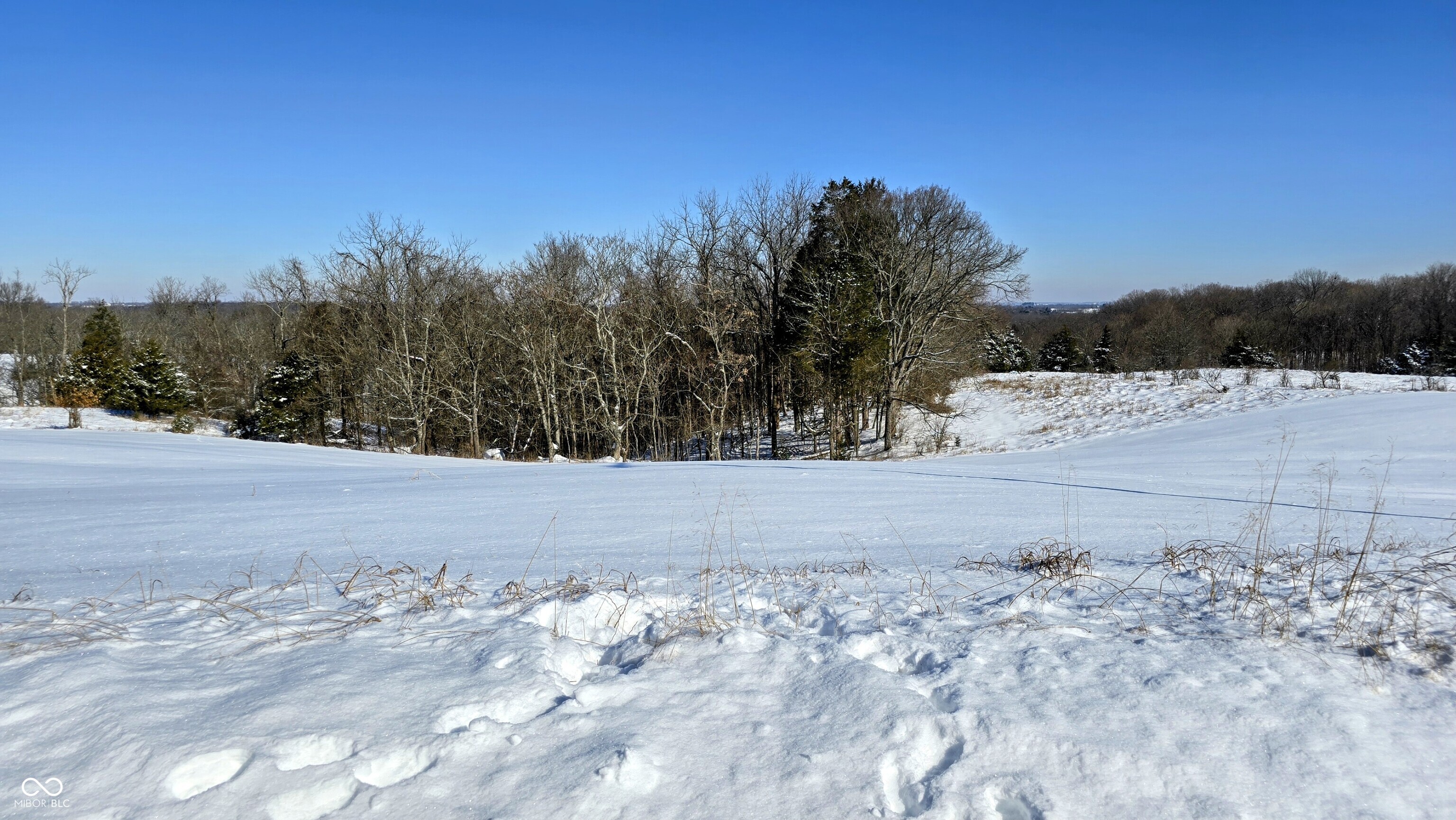 3706 Braytown Road Vevay, IN 47043 - Photo 54 of 64