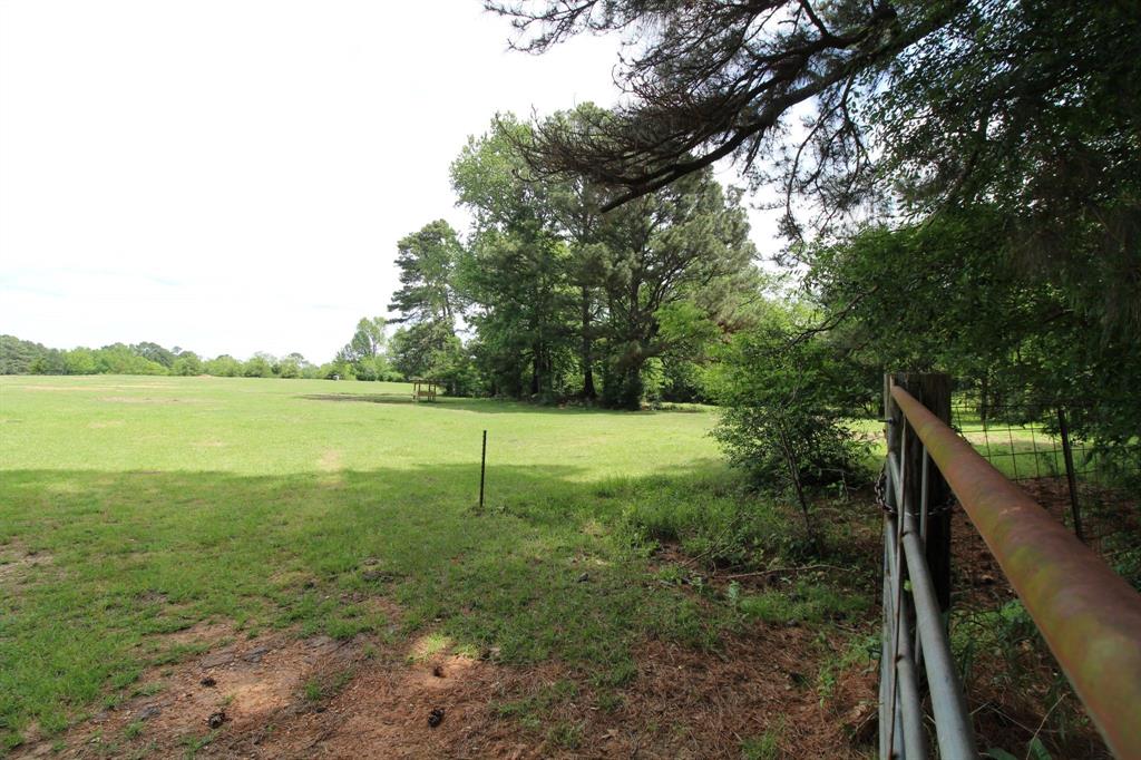 0 Egypt Hill Road Plain Dealing, LA 71064 - Photo 1 of 1 a view of a field with a tree in it