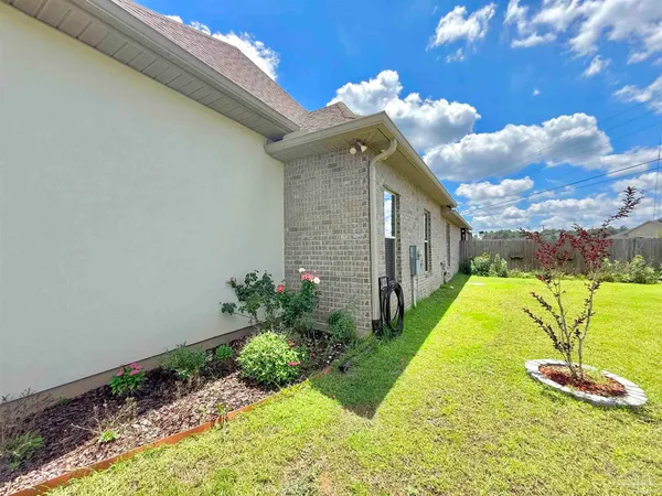 a view of a backyard with plants