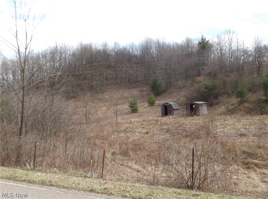 65690 Endley Road Cambridge, OH 43725 - Photo 9 of 10 Gallery Image 9