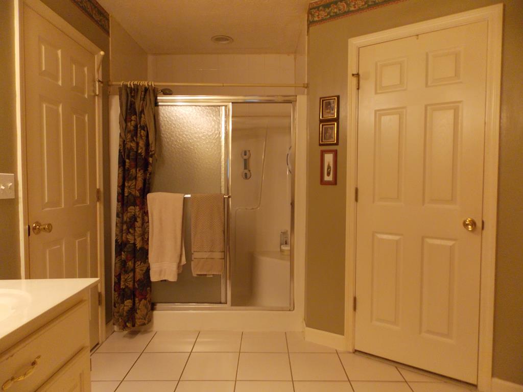 8760 McKee Road Upatoi, GA 31829 - Photo 18 of 26 Shower