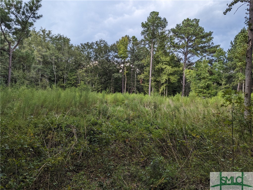 4515 Harper Road Metter, GA 30439 - Photo 3 of 6 Cleared building site area