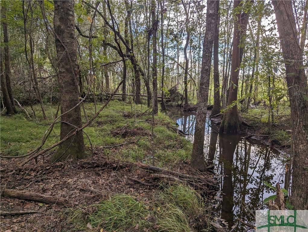 4515 Harper Road Metter, GA 30439 - Photo 4 of 6 Creek at back of property