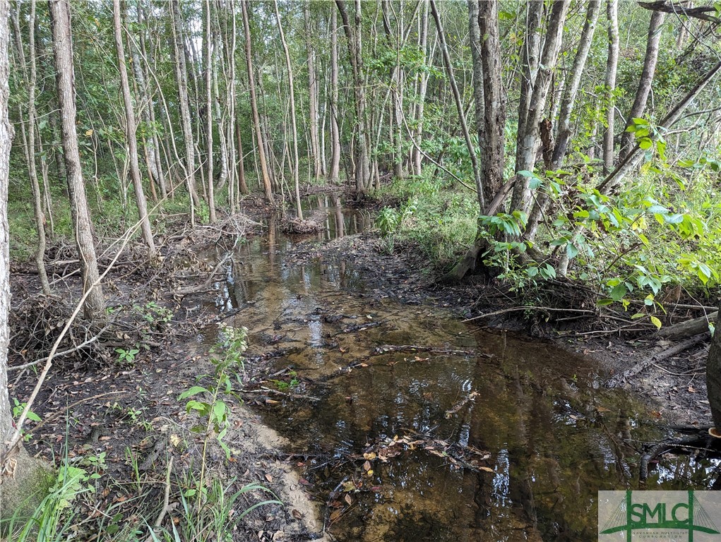4515 Harper Road Metter, GA 30439 - Photo 5 of 6 Creek at Back of property