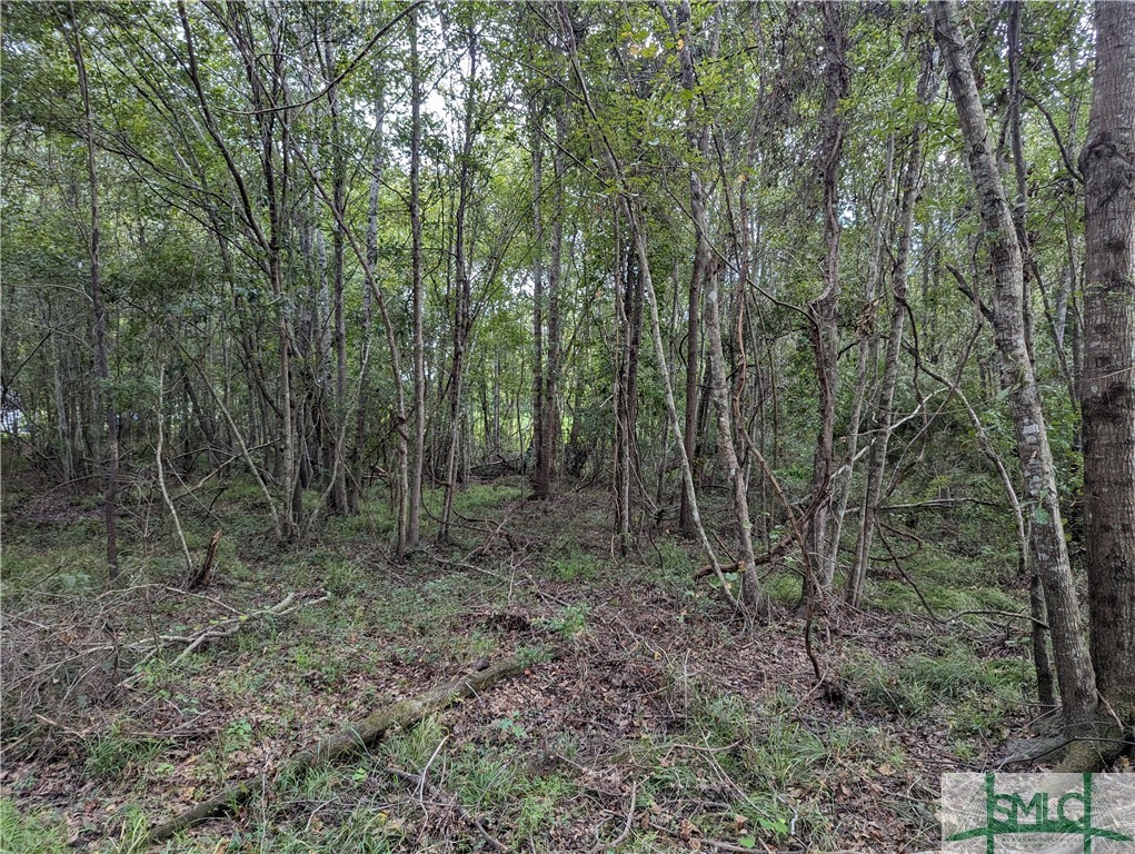 4515 Harper Road Metter, GA 30439 - Photo 6 of 6 Wooded area between home site & creek