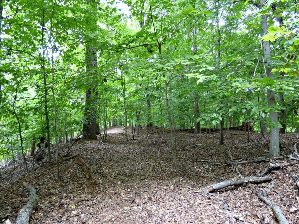 0 Woods Ridge Road Dandridge, TN 37725 - Photo 19 of 25 Gallery Image 19