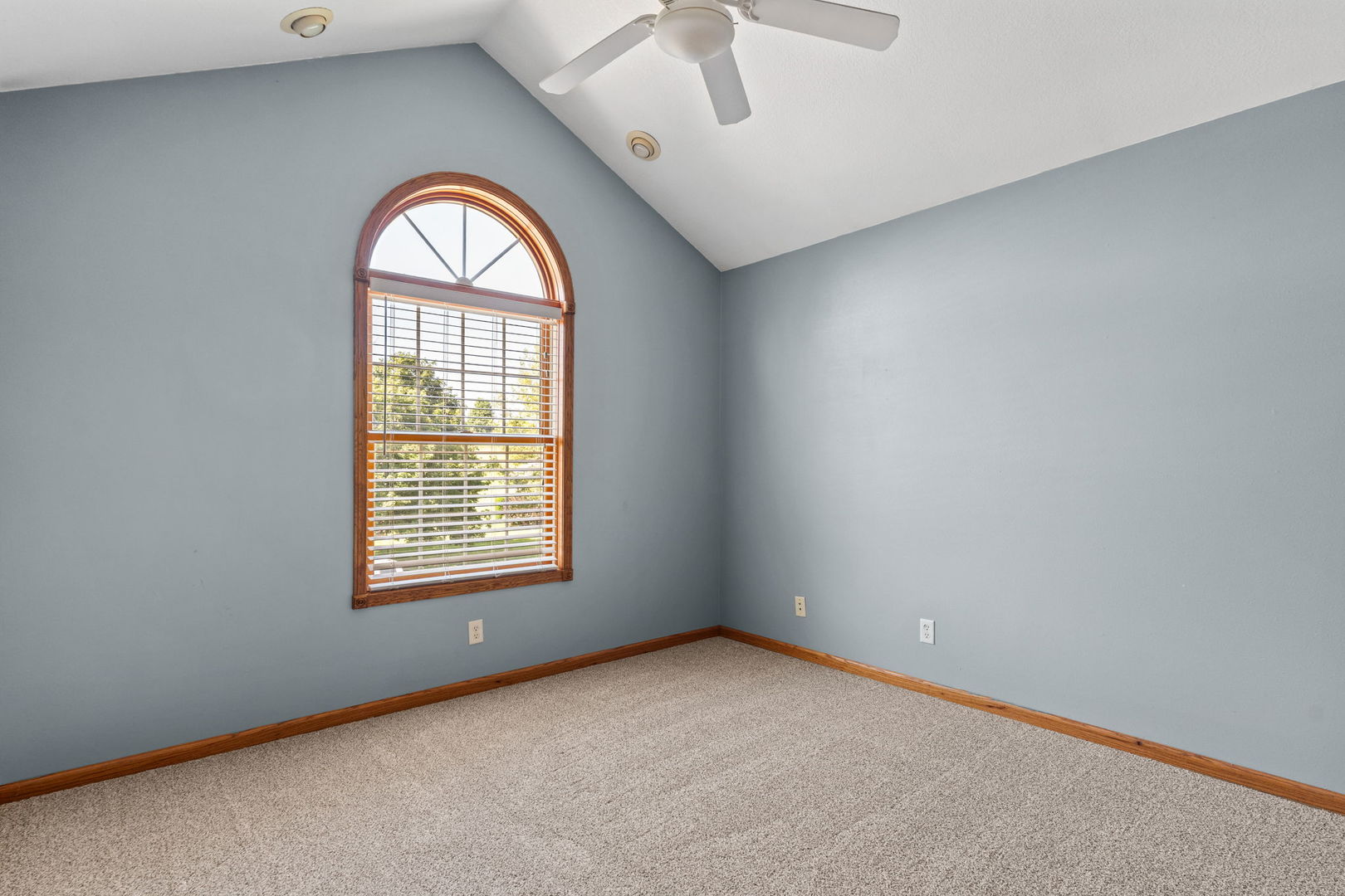 1021 Springbrook Lane De Witt, IA 52742 - Photo 26 of 46
