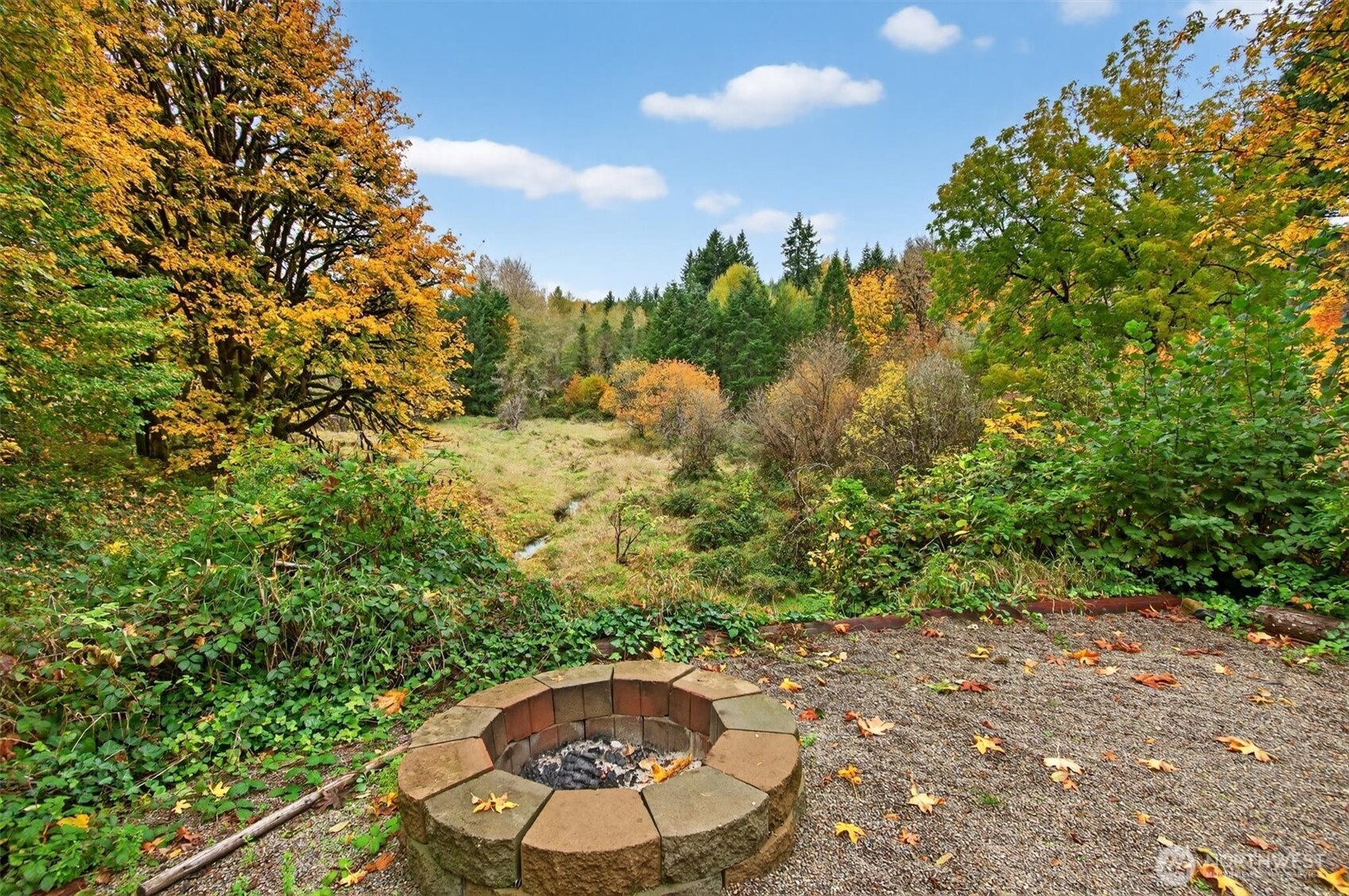 1015 Hazel Dell Road Castle Rock, WA 98611 - Photo 6 of 35 a view of a backyard of a house