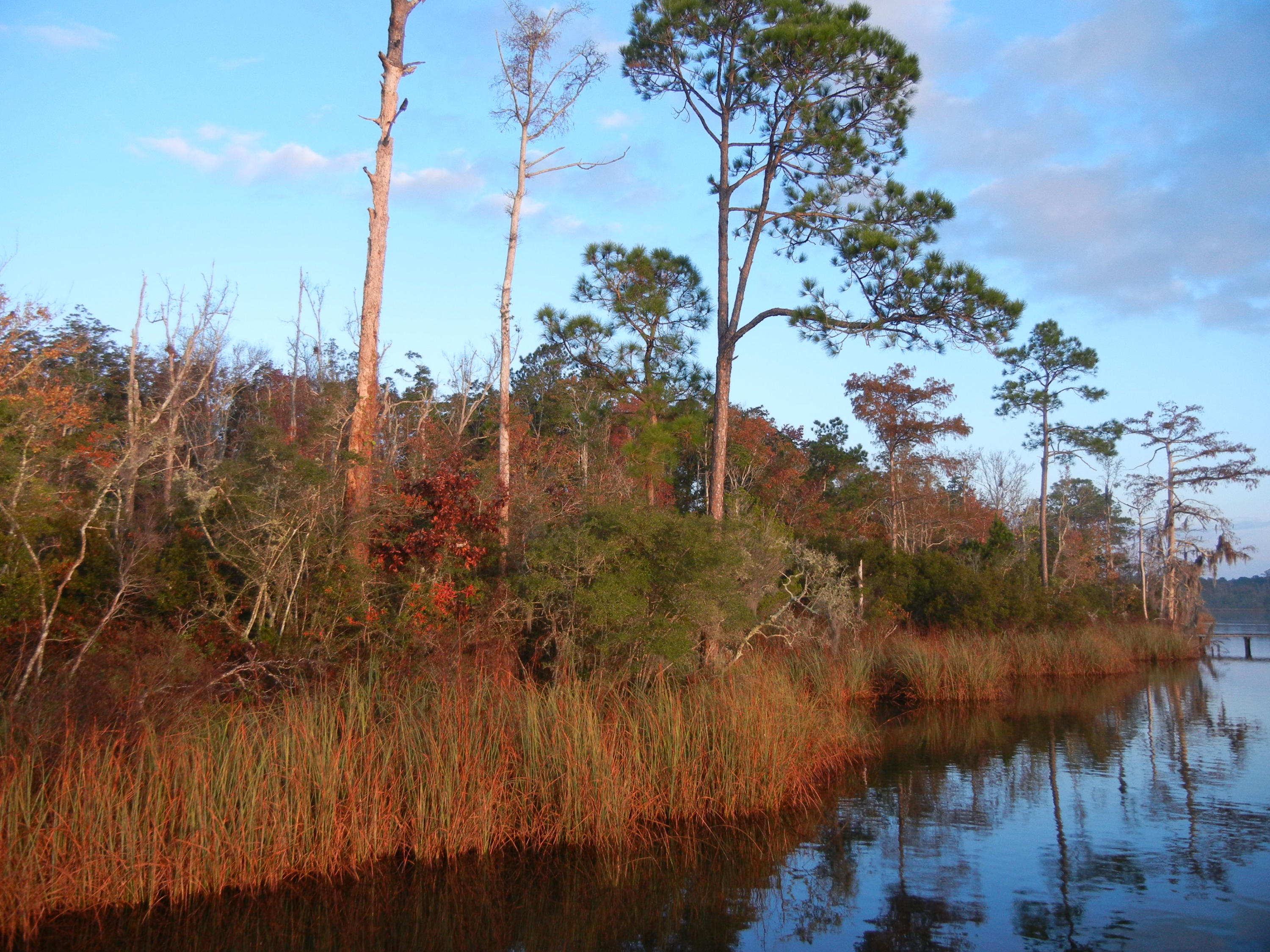 691 Whitfield Road Freeport, FL 32439 - Photo 1 of 30 Gallery Image 1