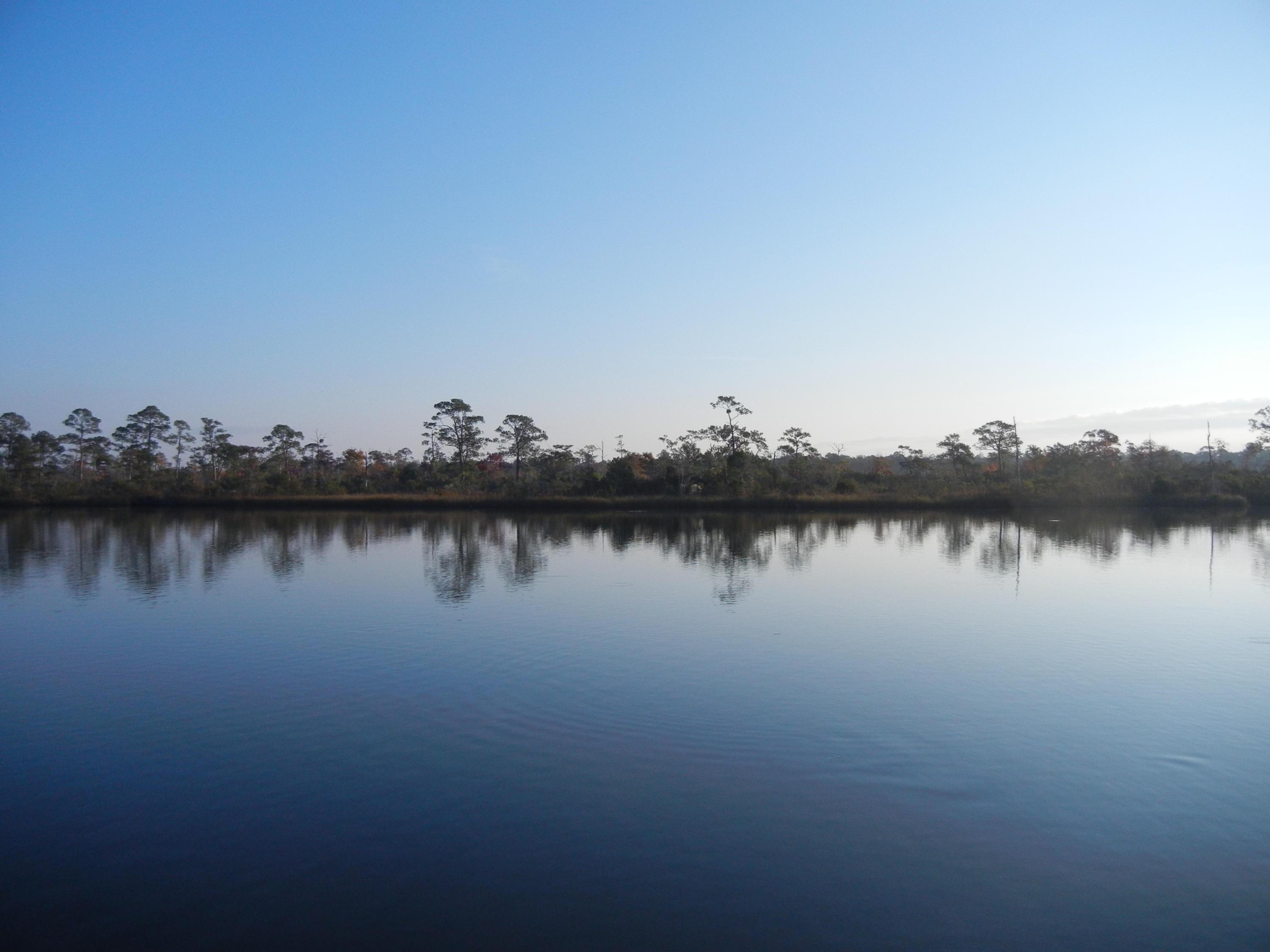 691 Whitfield Road Freeport, FL 32439 - Photo 14 of 30 Gallery Image 14