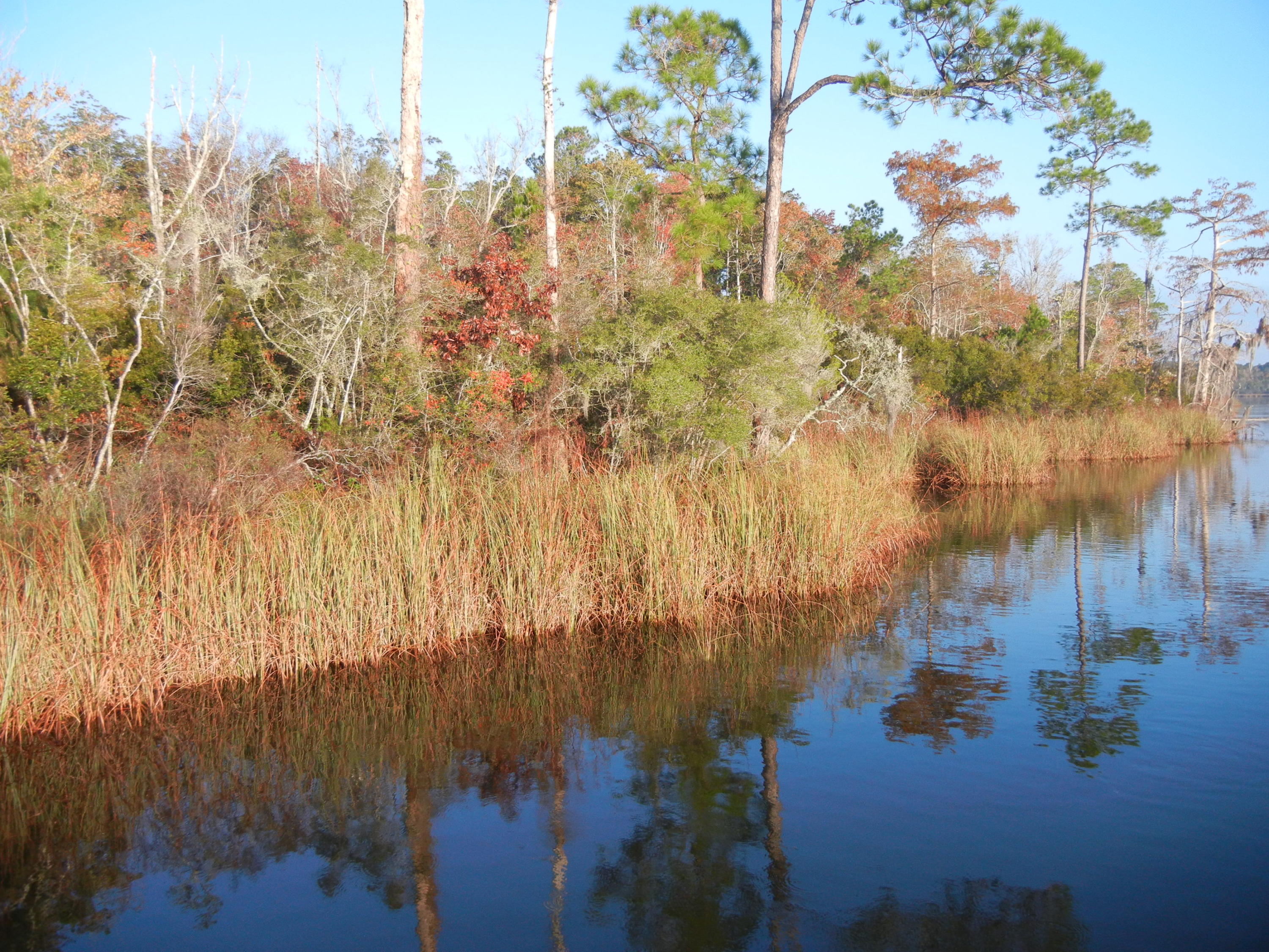 691 Whitfield Road Freeport, FL 32439 - Photo 15 of 30 Gallery Image 15