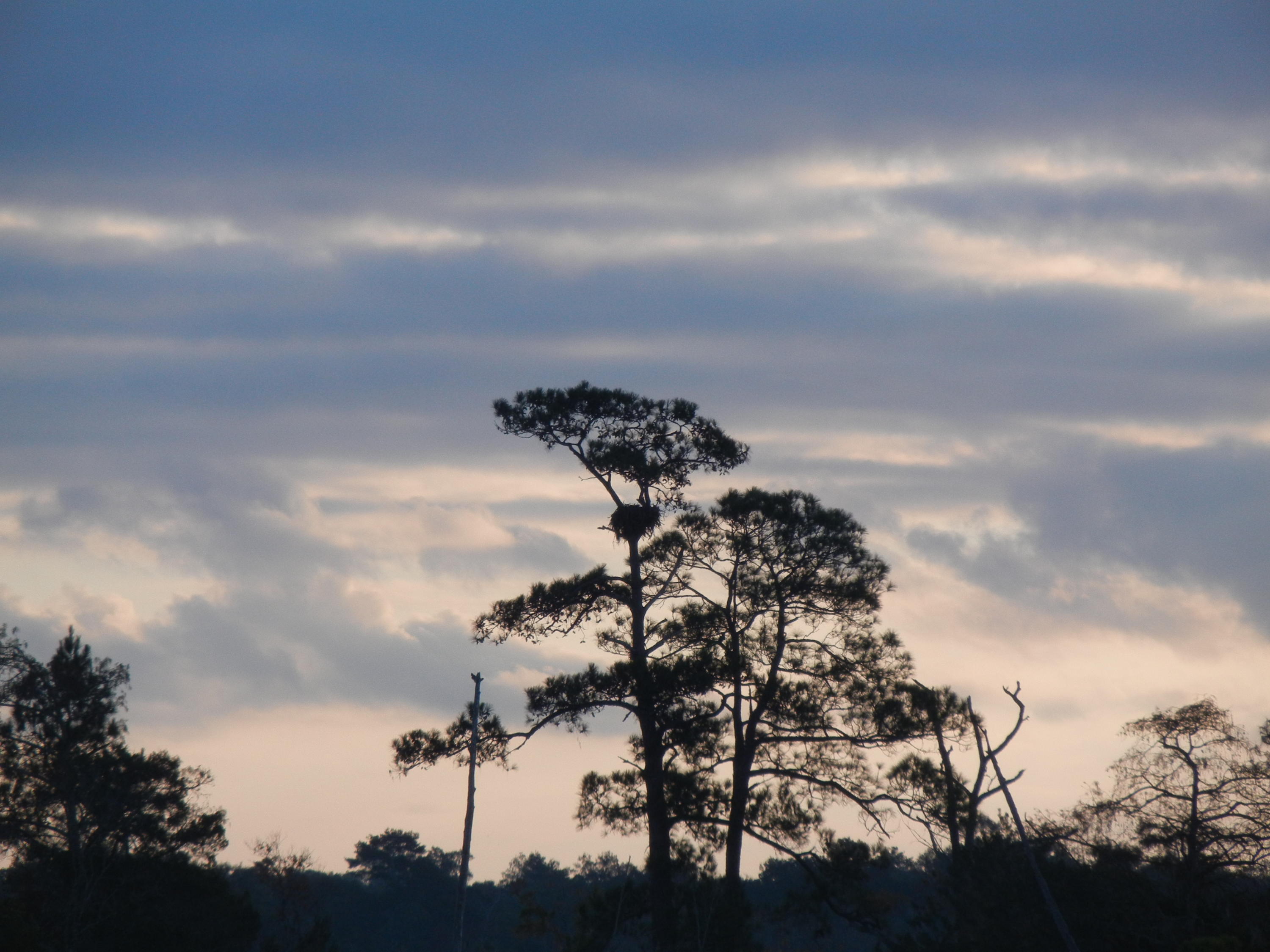 691 Whitfield Road Freeport, FL 32439 - Photo 19 of 30 Gallery Image 19