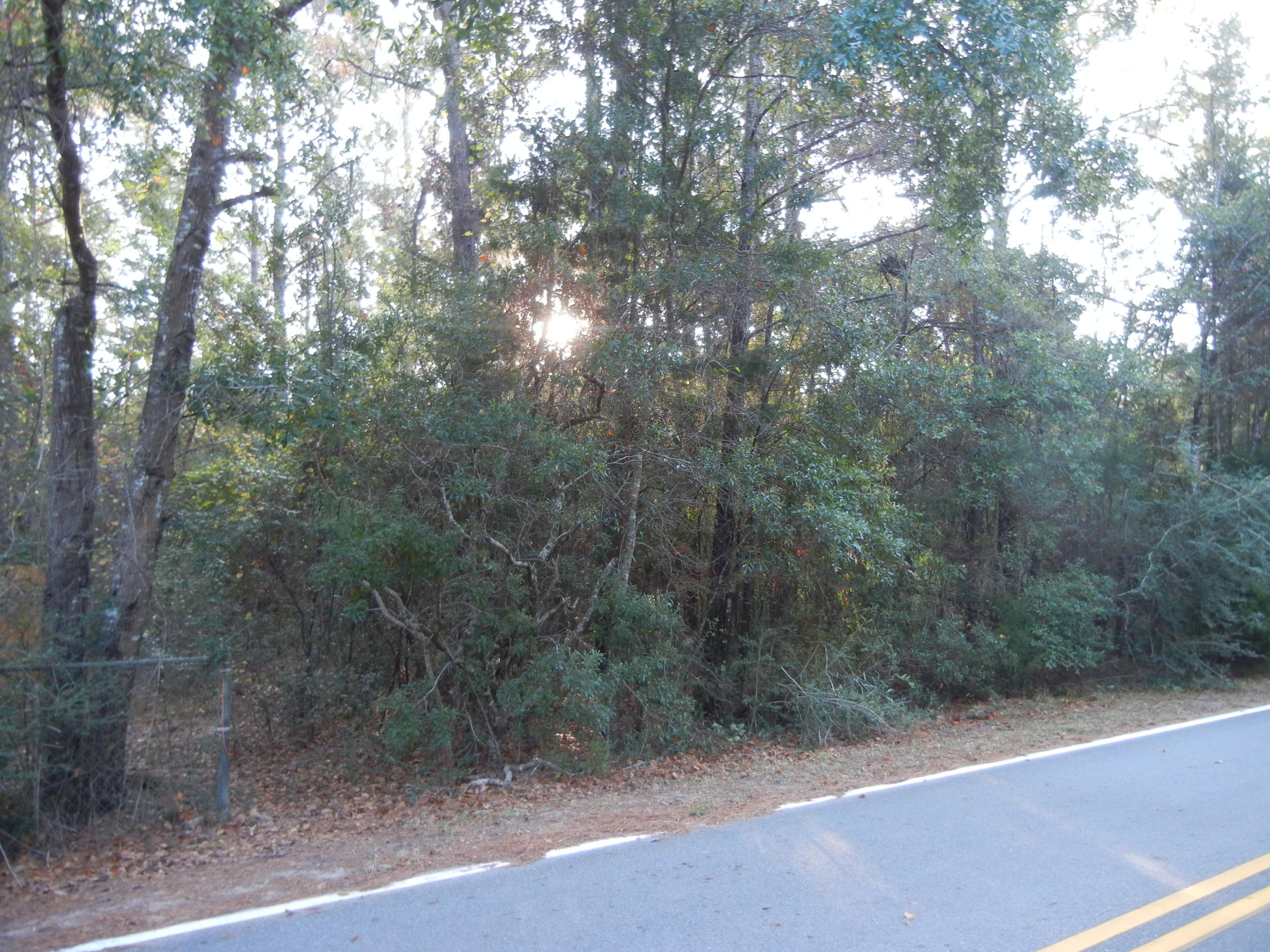 691 Whitfield Road Freeport, FL 32439 - Photo 3 of 30 Gallery Image 3