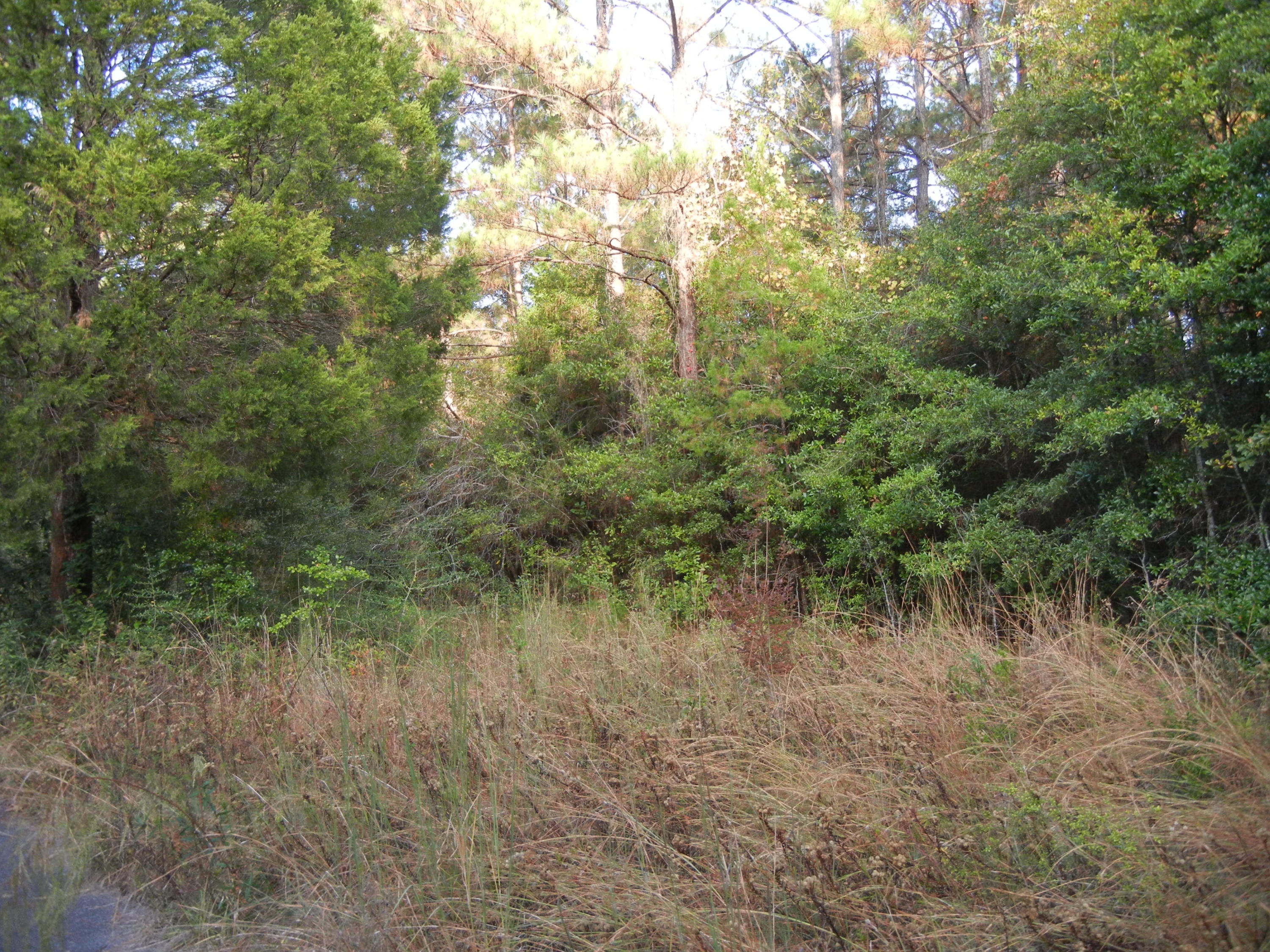 691 Whitfield Road Freeport, FL 32439 - Photo 4 of 30 Gallery Image 4