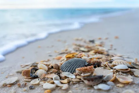$4,695,000 | 20405 Front Beach Road, Panama City Beach, FL 32413