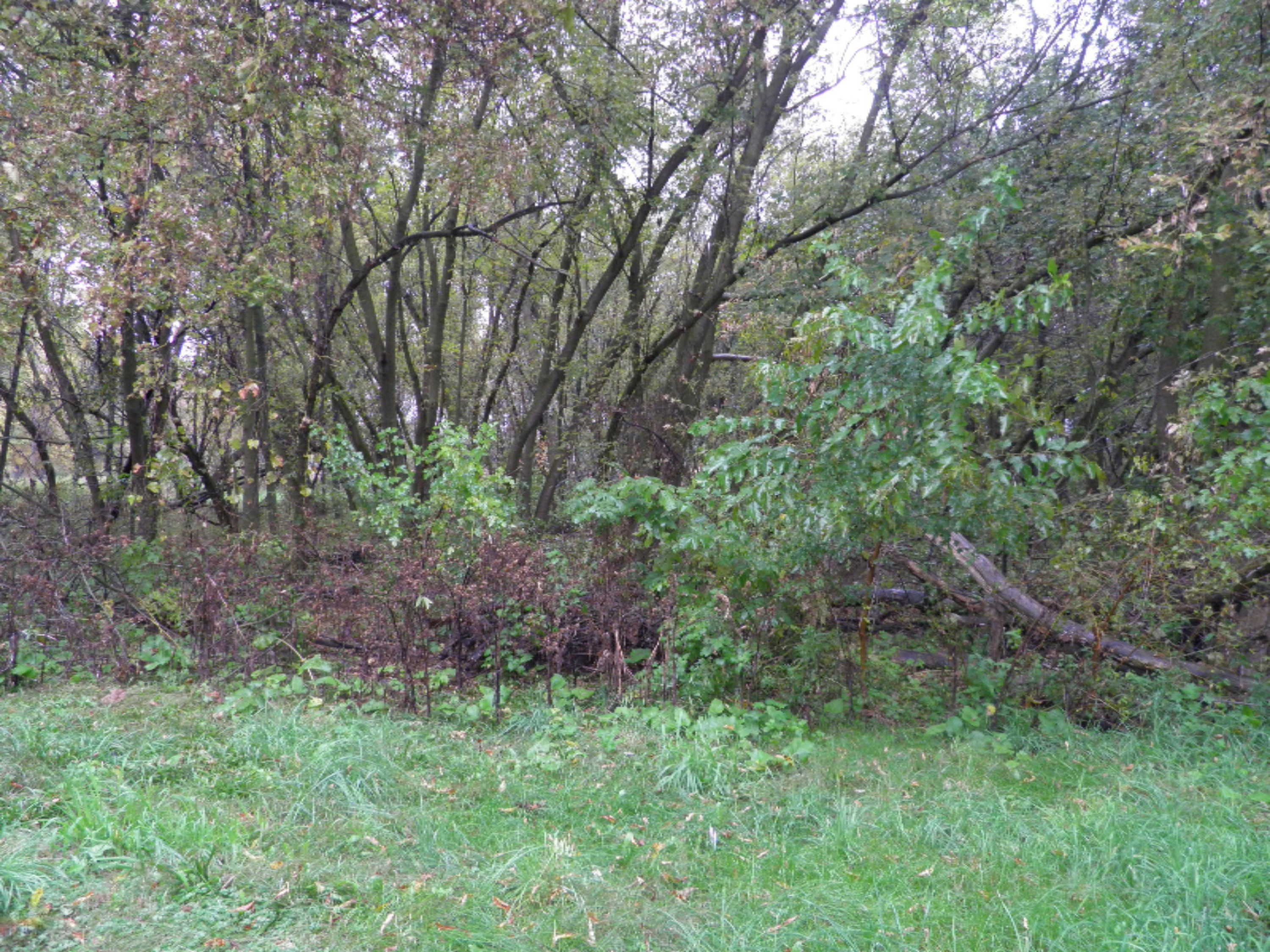 3474 West County Farm Road Sheridan, MI 48884 - Photo 28 of 36 P1010155