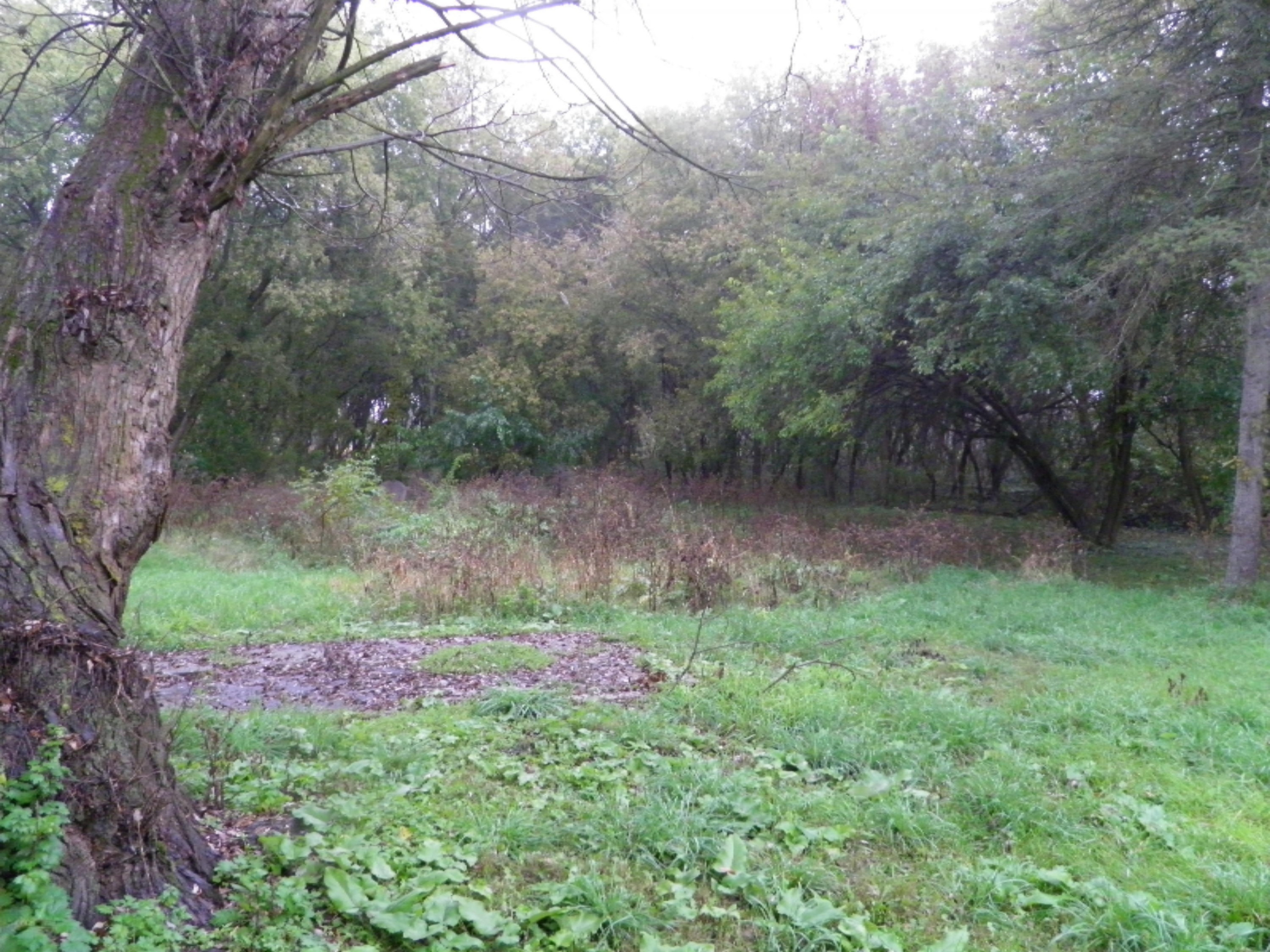 3474 West County Farm Road Sheridan, MI 48884 - Photo 29 of 36 P1010104