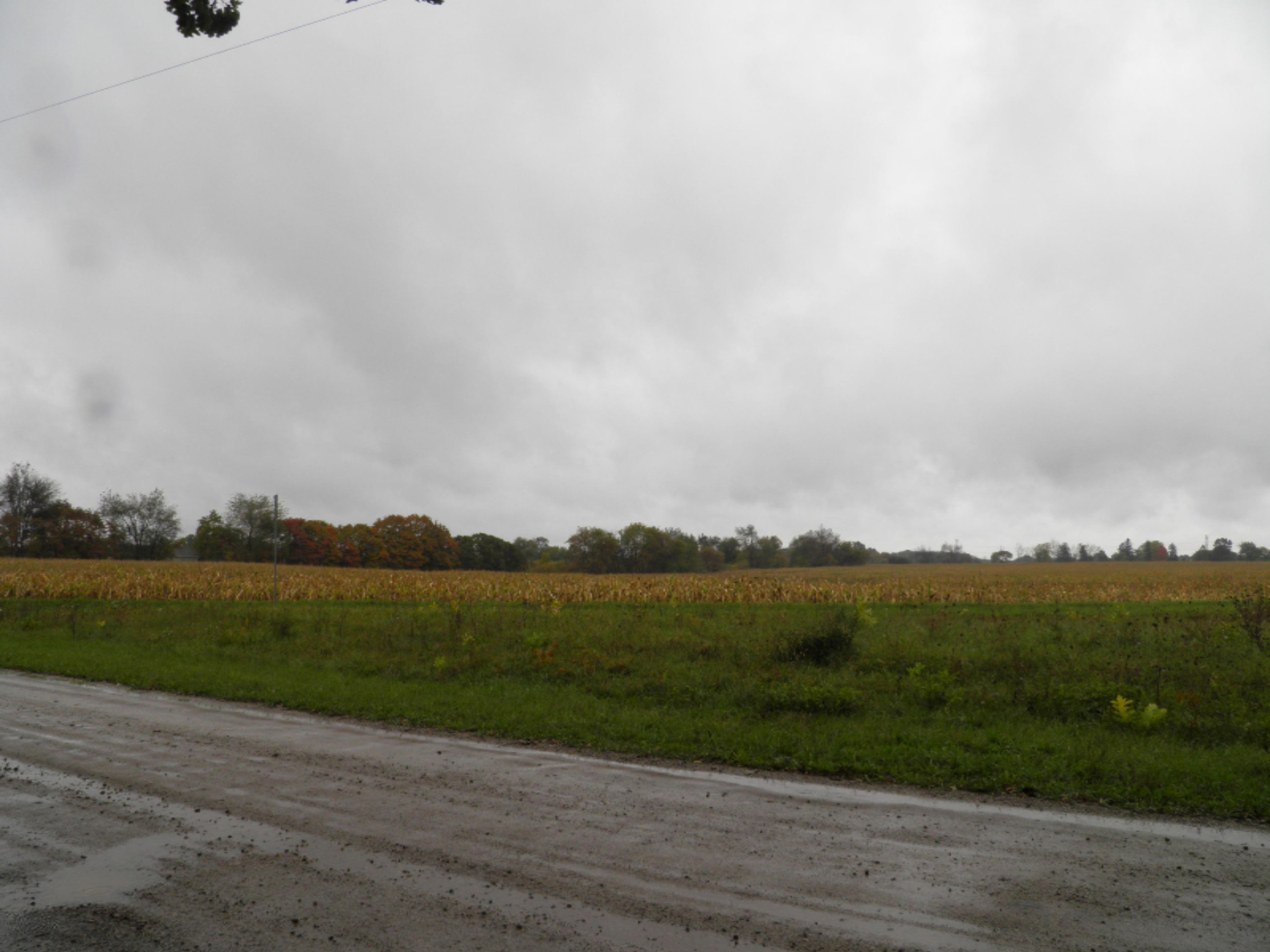 3474 West County Farm Road Sheridan, MI 48884 - Photo 32 of 36 P1010167