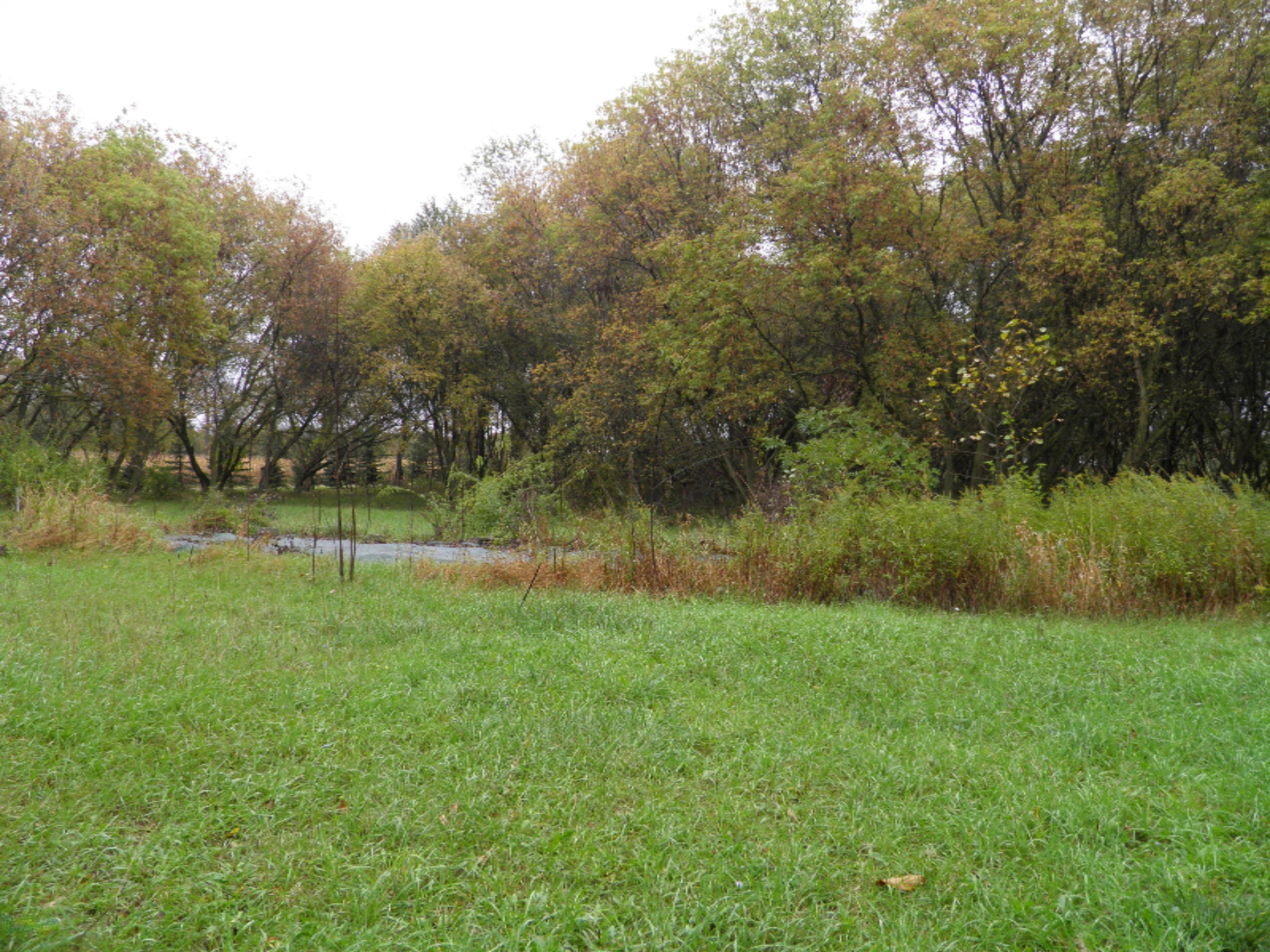 3474 West County Farm Road Sheridan, MI 48884 - Photo 35 of 36 P1010175