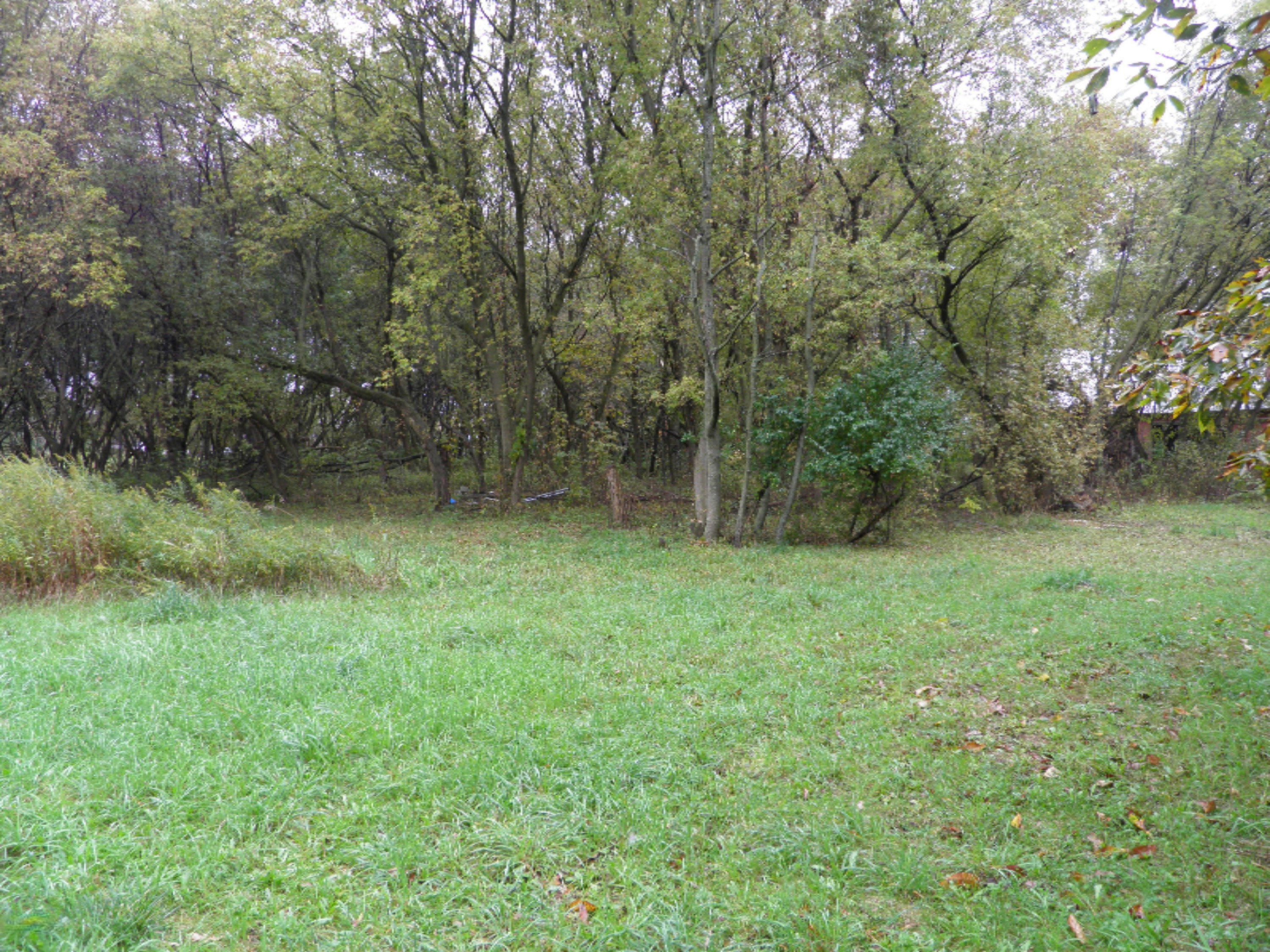3474 West County Farm Road Sheridan, MI 48884 - Photo 36 of 36 P1010176