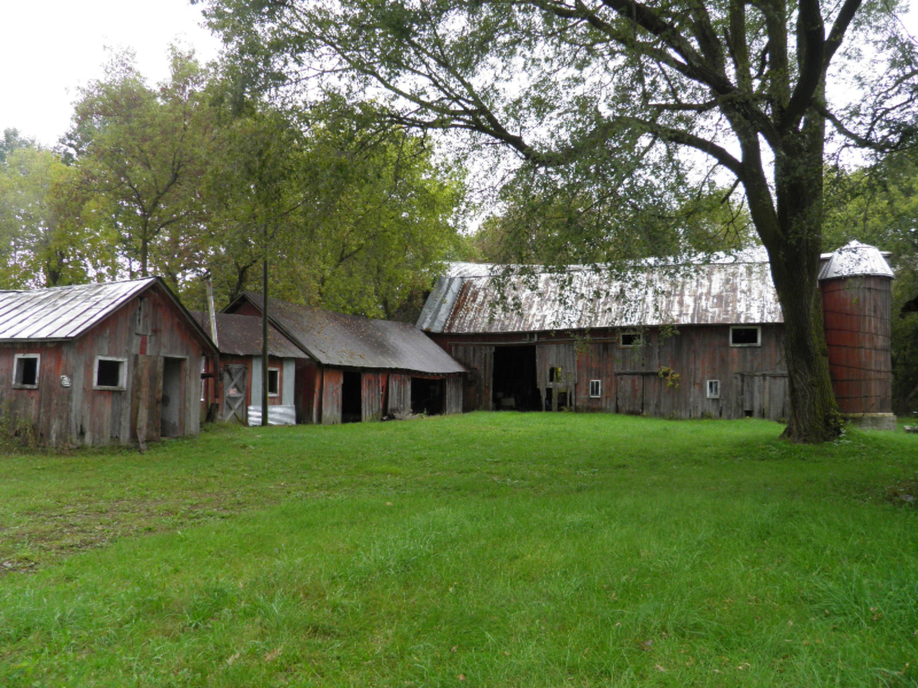 3474 West County Farm Road Sheridan, MI 48884 - Photo 4 of 36 P1010102