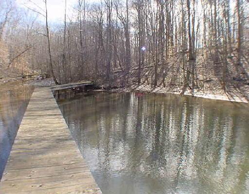 Lot 9 Kemp Ford Road Union Hall, VA 24176 - Photo 3 of 4 a view of water pond with lots of trees