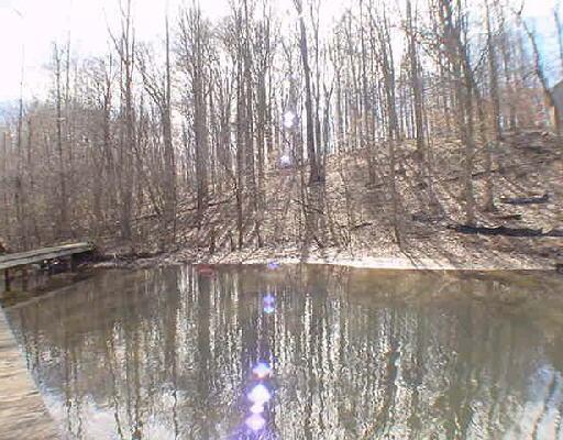 Lot 9 Kemp Ford Road Union Hall, VA 24176 - Photo 4 of 4 a view of a lake from a yard