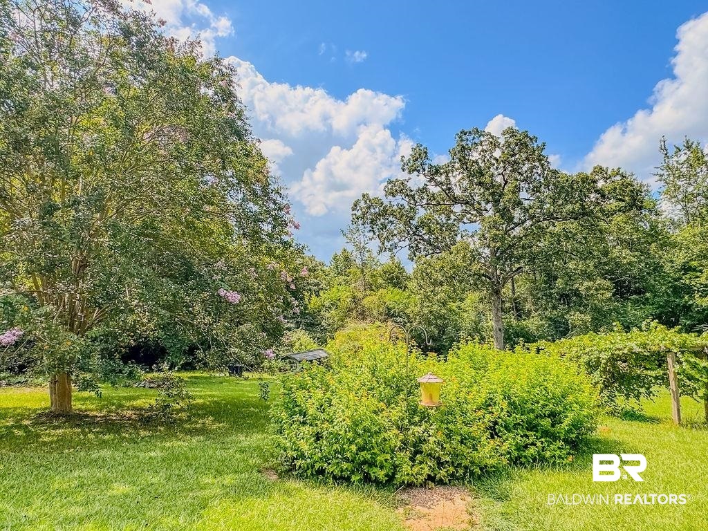 1456 Allen Walker Road Grove Hill, AL 36451 - Photo 7 of 28 View of green lawn