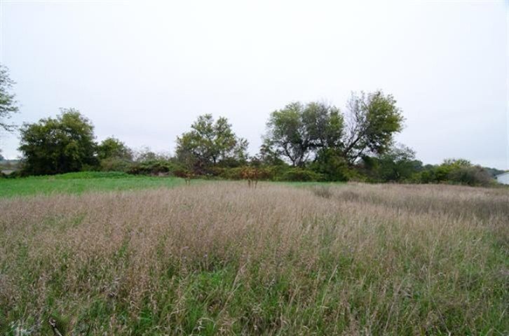 Primary Photo