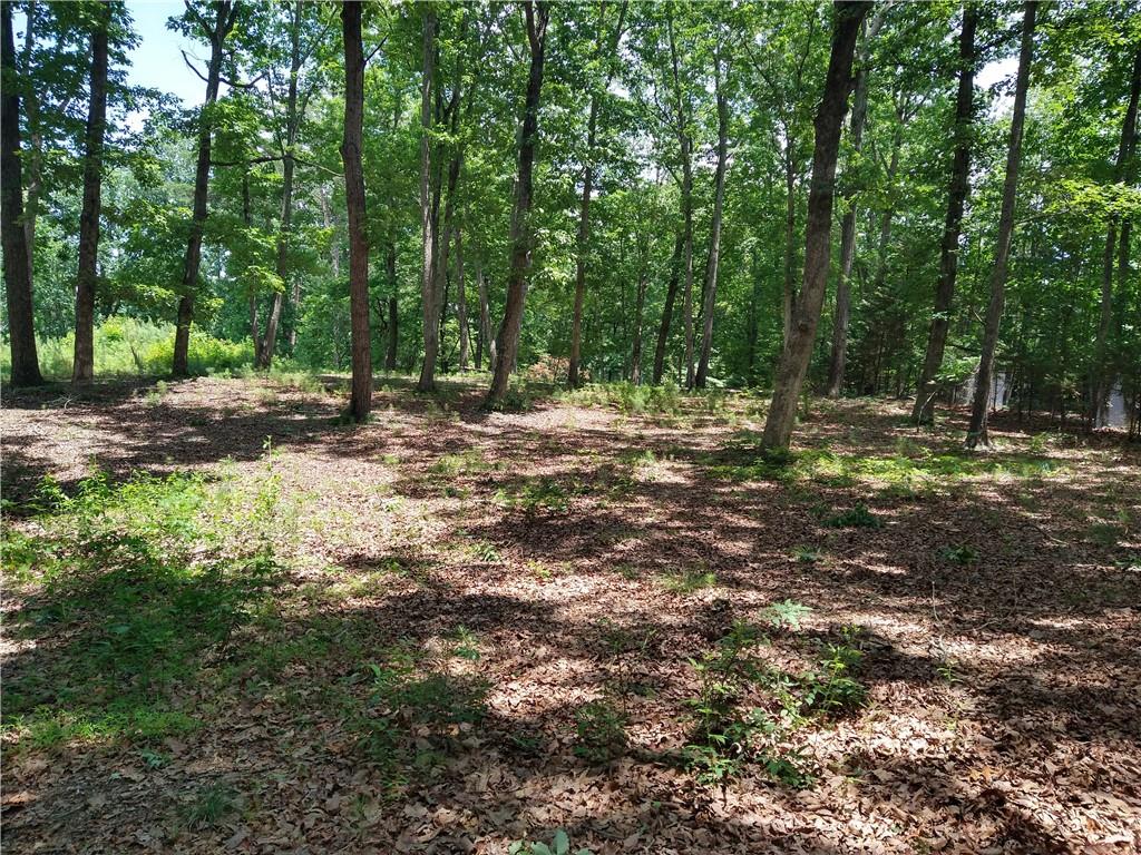 2112 Allgood Road Northeast Marietta, GA 30062 - Photo 12 of 51 a backyard of a house with trees