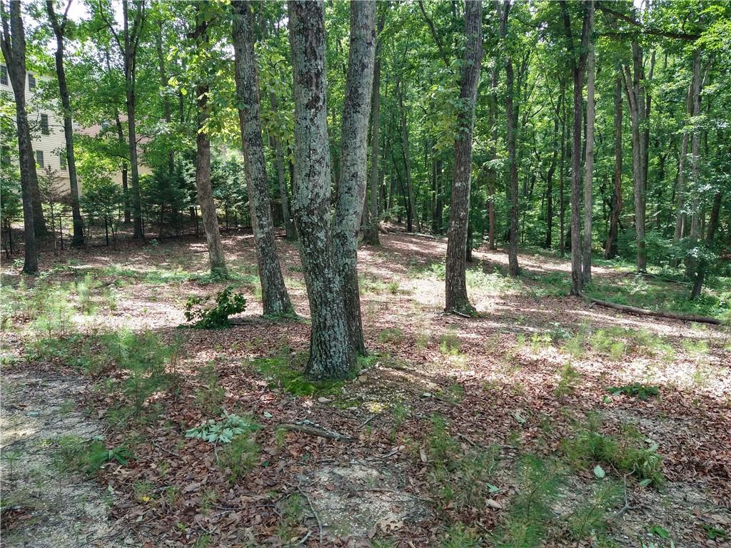 2112 Allgood Road Northeast Marietta, GA 30062 - Photo 13 of 51 a view of outdoor space with lots of trees