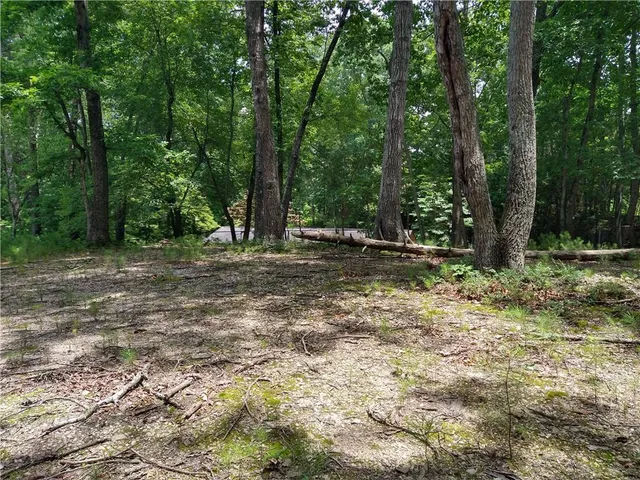 a backyard of a house with lots of trees