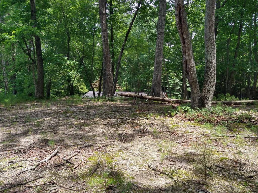 2112 Allgood Road Northeast Marietta, GA 30062 - Photo 14 of 51 a backyard of a house with lots of trees