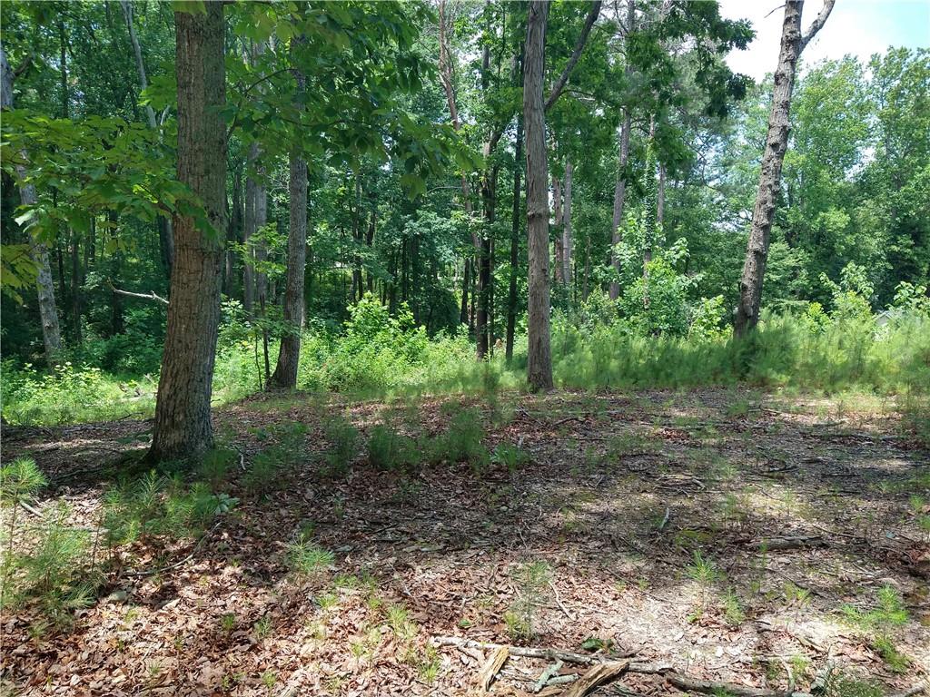 2112 Allgood Road Northeast Marietta, GA 30062 - Photo 15 of 51 a view of a forest filled with lots of trees