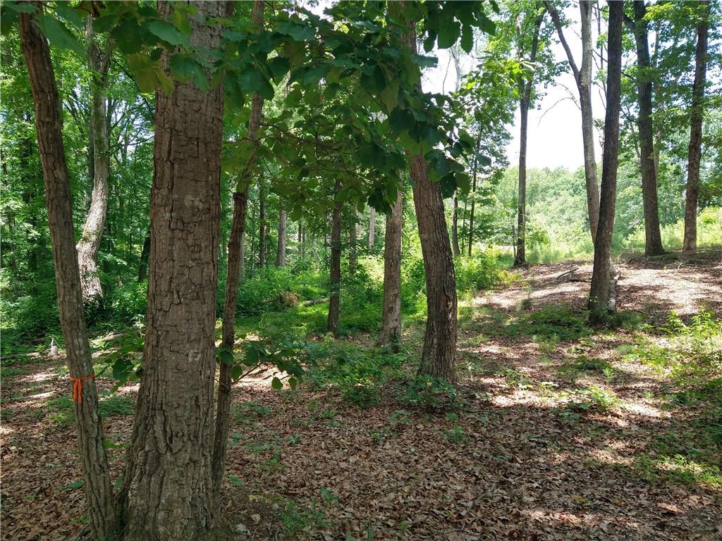 2112 Allgood Road Northeast Marietta, GA 30062 - Photo 17 of 51 a view of outdoor space with lots of trees