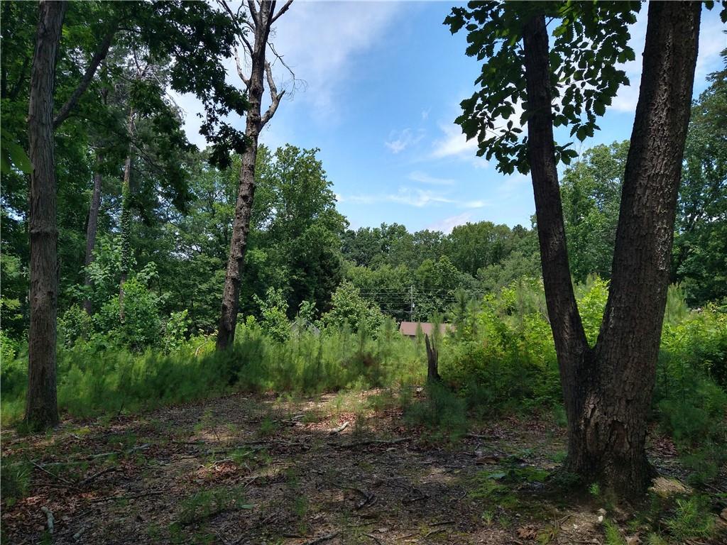 2112 Allgood Road Northeast Marietta, GA 30062 - Photo 18 of 51 a view of a forest