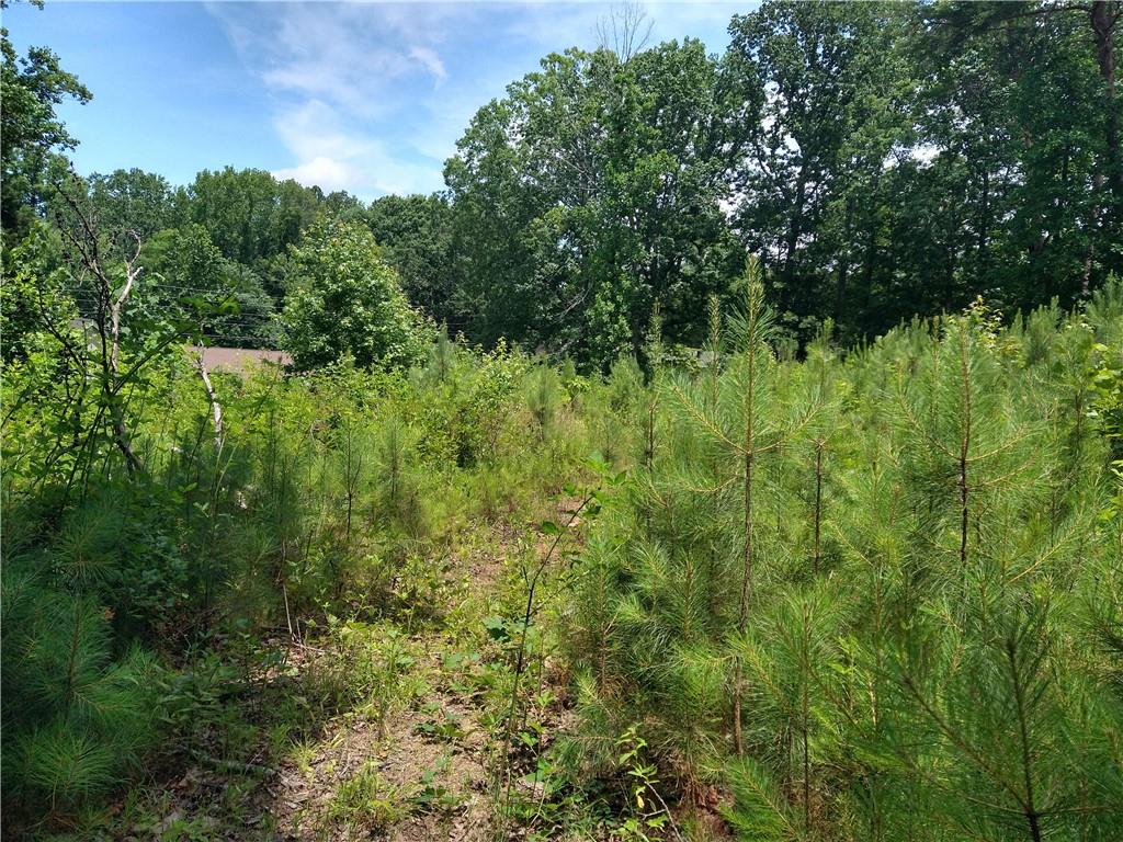 2112 Allgood Road Northeast Marietta, GA 30062 - Photo 19 of 51 a view of a lush green forest