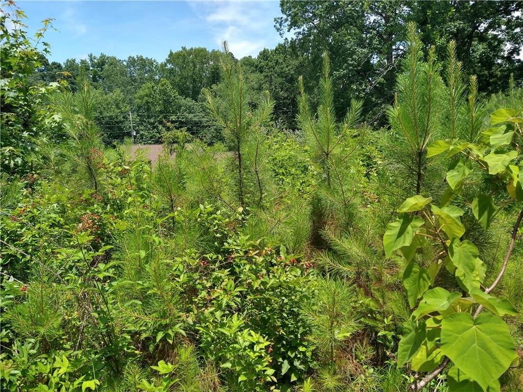 2112 Allgood Road Northeast Marietta, GA 30062 - Photo 2 of 51 a view of a lush green forest