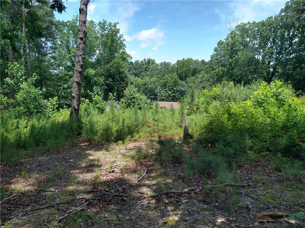 2112 Allgood Road Northeast Marietta, GA 30062 - Photo 21 of 51 a view of a forest with trees in the background