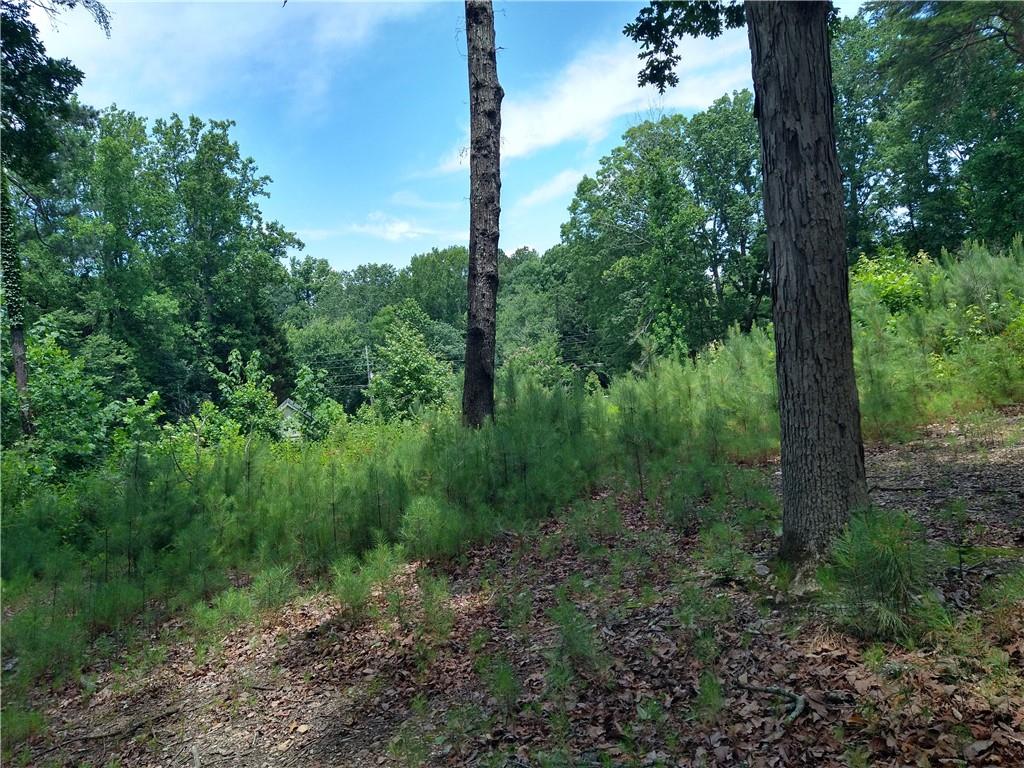 2112 Allgood Road Northeast Marietta, GA 30062 - Photo 23 of 51 a view of a forest