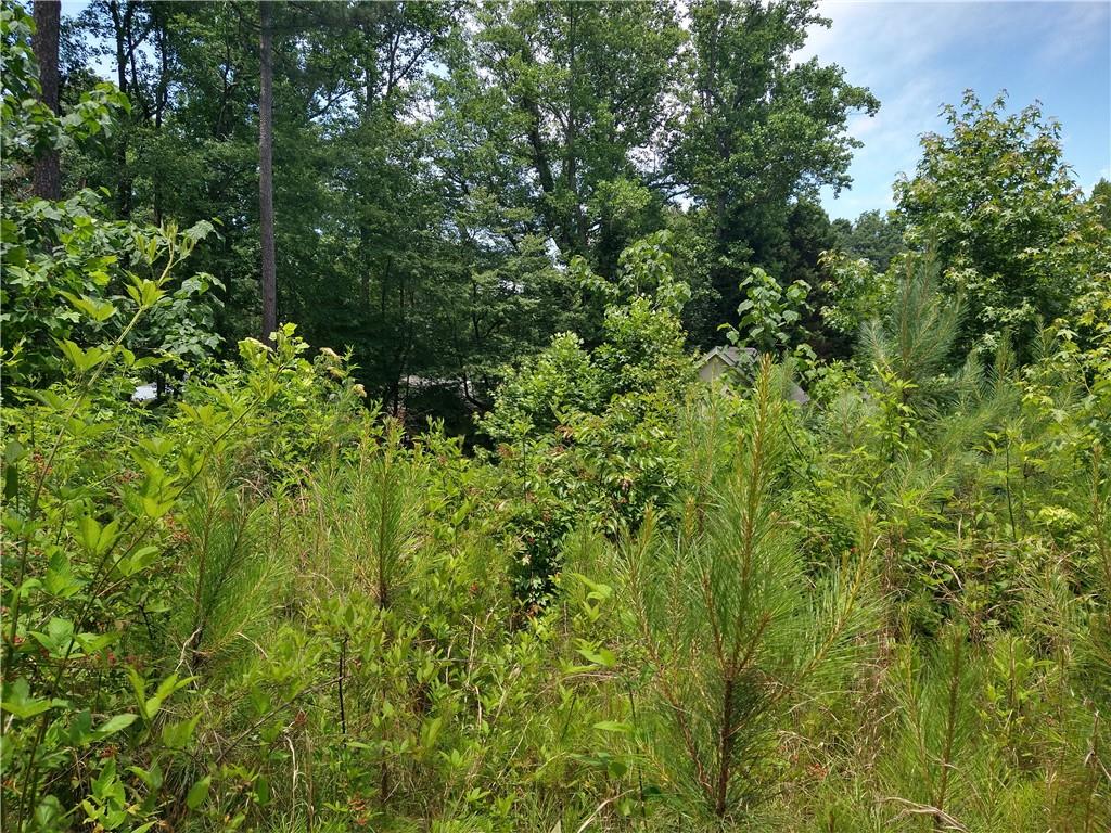 2112 Allgood Road Northeast Marietta, GA 30062 - Photo 24 of 51 a view of a lush green forest