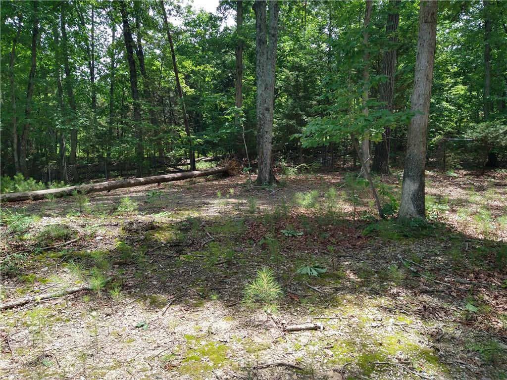 2112 Allgood Road Northeast Marietta, GA 30062 - Photo 26 of 51 a view of a yard with a tree