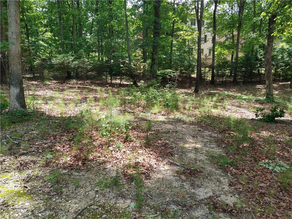2112 Allgood Road Northeast Marietta, GA 30062 - Photo 27 of 51 a backyard of a house with lots of green space