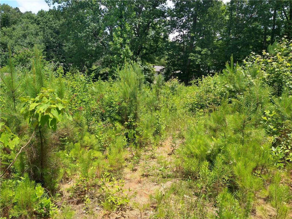 2112 Allgood Road Northeast Marietta, GA 30062 - Photo 28 of 51 a view of a lush green forest