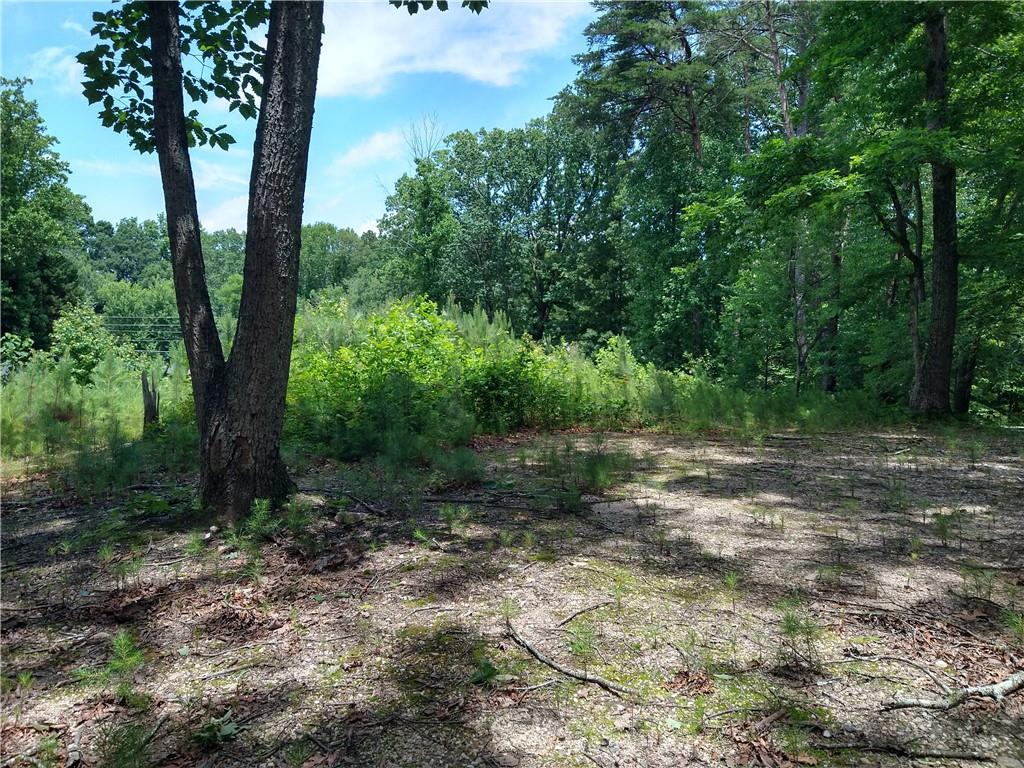 2112 Allgood Road Northeast Marietta, GA 30062 - Photo 30 of 51