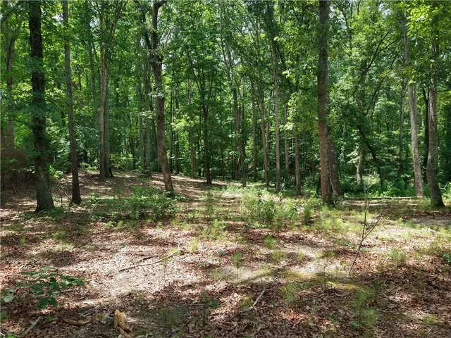 a big yard with lots of green space and deers