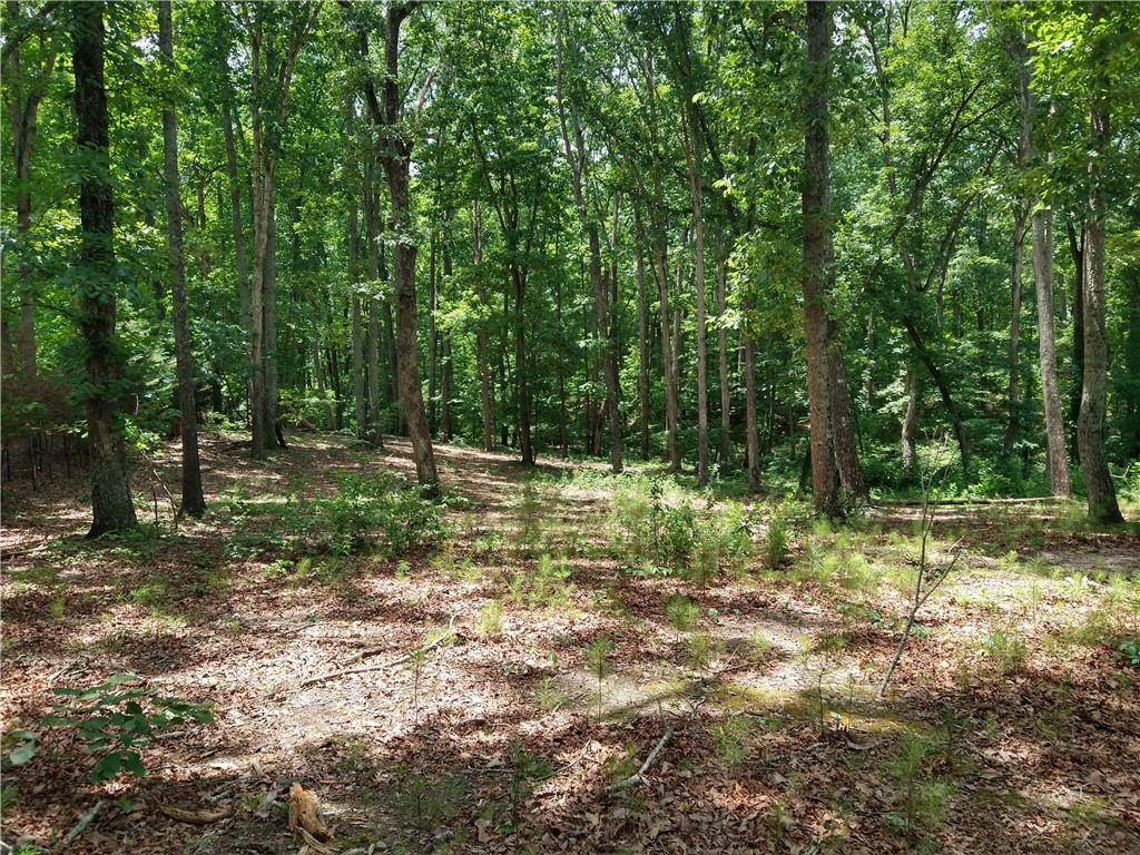 2112 Allgood Road Northeast Marietta, GA 30062 - Photo 31 of 51 a backyard of a house with lots of green space