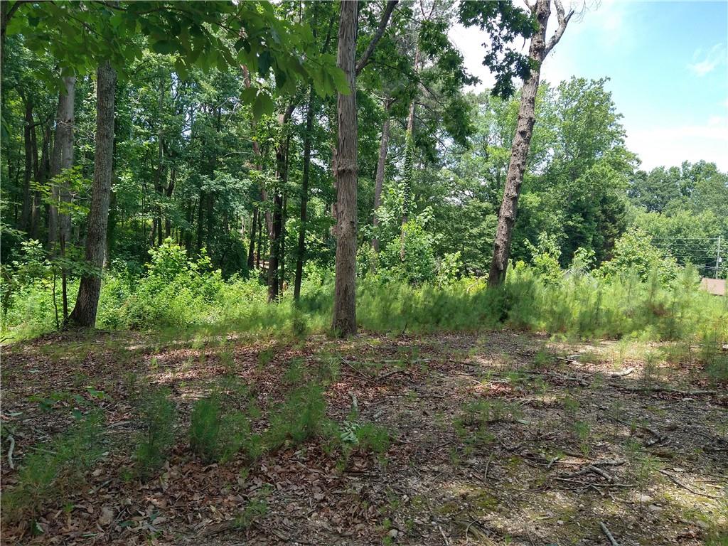 2112 Allgood Road Northeast Marietta, GA 30062 - Photo 32 of 51 a big yard with lots of green space and deers
